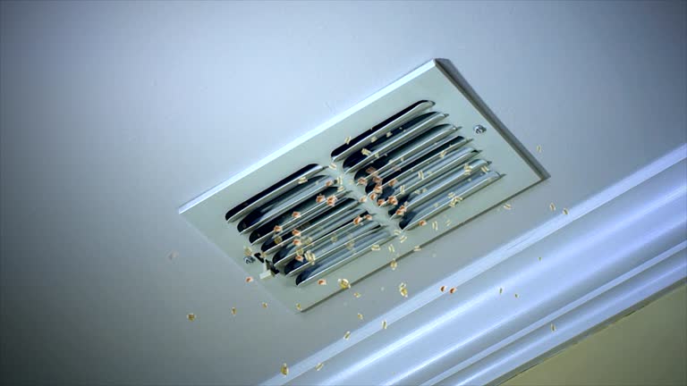 Best Air Duct Mold Removal  in Dayton, OH