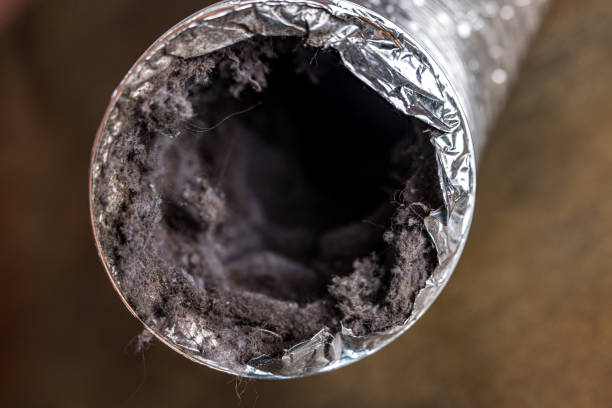 Best Home Air Vent Cleaning  in Dayton, OH